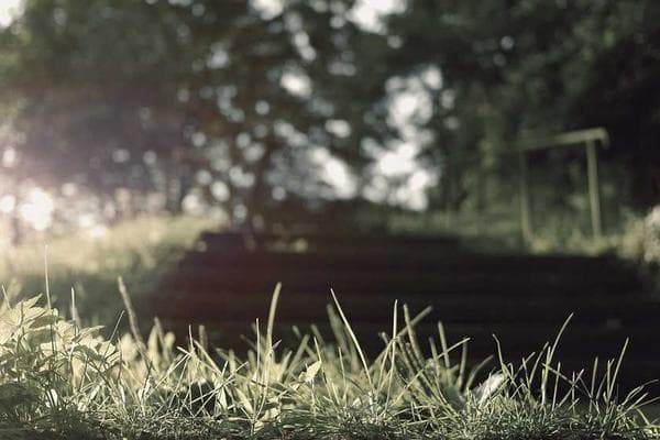 Thumbnail for Save Them